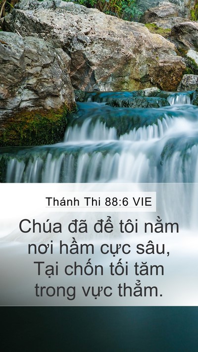 Thánh Thi 88:6 VIE Bible Verse Image
