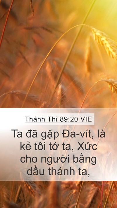 Thánh Thi 89:20 VIE Bible Verse Image