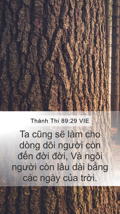 Thánh Thi 89:29 VIE Bible Verse Image