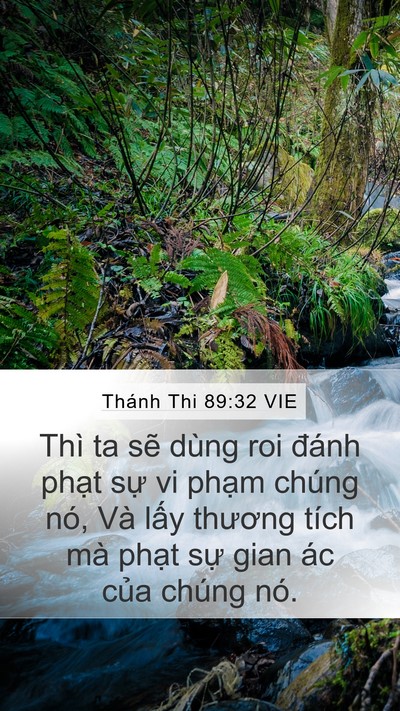 Thánh Thi 89:32 VIE Mobile Phone Wallpaper - Thì ta sẽ dùng roi đánh phạt sự vi - Mobile Bible Verse Wallpaper