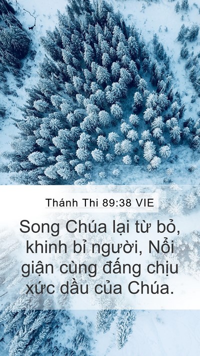 Thánh Thi 89:38 VIE Bible Verse Image