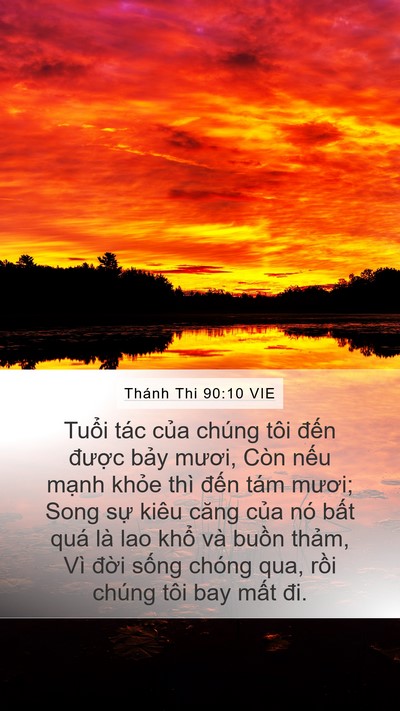 Thánh Thi 90:10 VIE Bible Verse Image