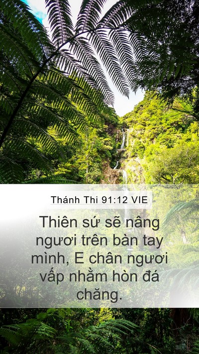 Thánh Thi 91:12 VIE Bible Verse Image