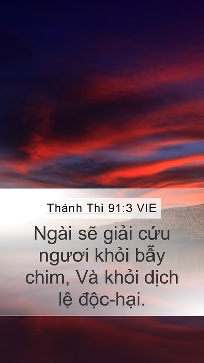 Thánh Thi 91:3 VIE Bible Verse Image