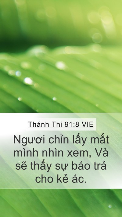 Thánh Thi 91:8 VIE Bible Verse Image
