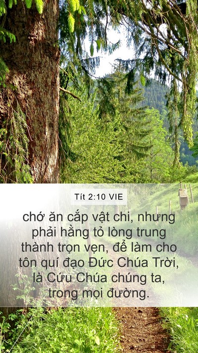 Tít 2:10 VIE Bible Verse Image