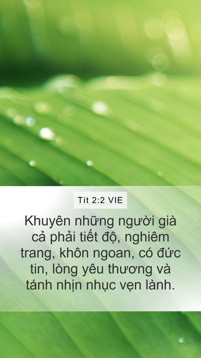 Tít 2:2 VIE Bible Verse Image