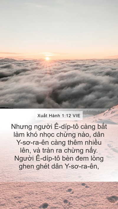 Xuất Hành 1:12 VIE Bible Verse Image