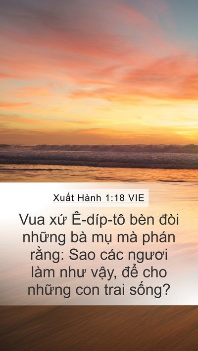 Xuất Hành 1:18 VIE Mobile Phone Wallpaper - Vua xứ Ê-díp-tô bèn đòi những bà mụ - Mobile Bible Verse Wallpaper