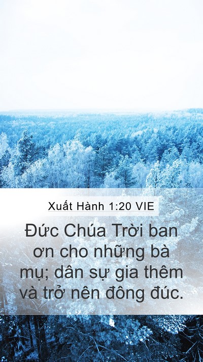 Xuất Hành 1:20 VIE Bible Verse Image