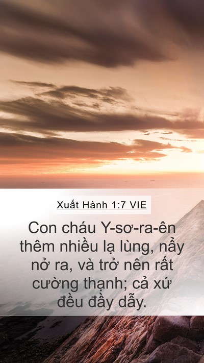 Xuất Hành 1:7 VIE Mobile Phone Wallpaper - Con cháu Y-sơ-ra-ên thêm nhiều lạ lùng, - Mobile Bible Verse Wallpaper