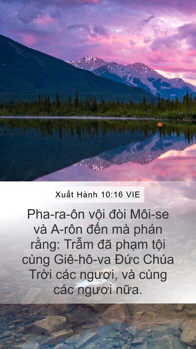 Xuất Hành 10:16 VIE Bible Verse Image
