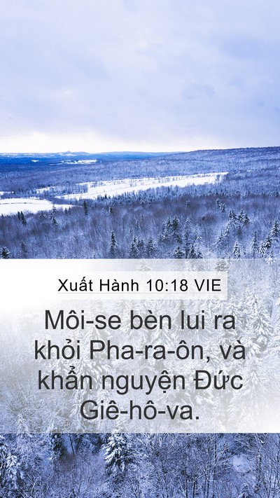 Xuất Hành 10:18 VIE Bible Verse Image