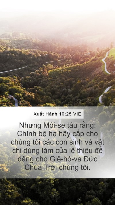 Xuất Hành 10:25 VIE Bible Verse Image