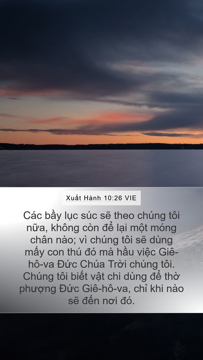 Xuất Hành 10:26 VIE Bible Verse Image