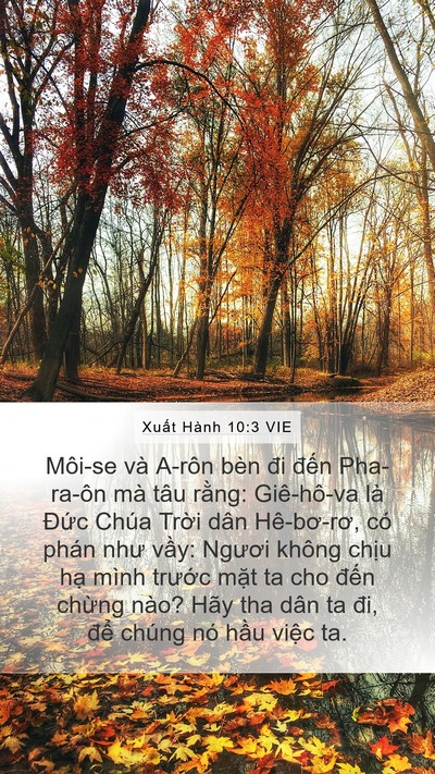 Xuất Hành 10:3 VIE Bible Verse Image