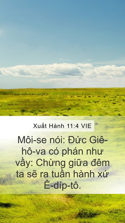 Xuất Hành 11:4 VIE Bible Verse Image