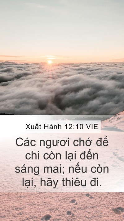 Xuất Hành 12:10 VIE Bible Verse Image