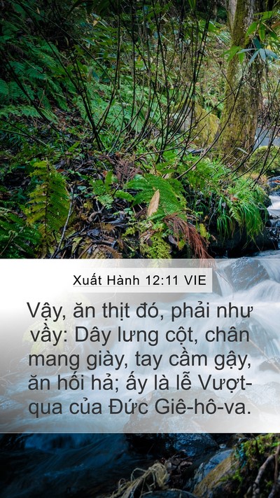 Xuất Hành 12:11 VIE Bible Verse Image