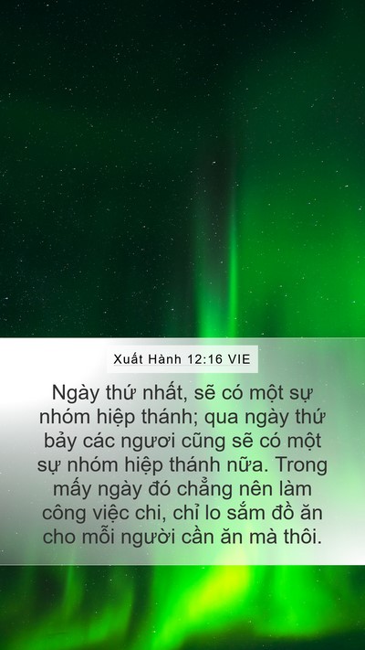Xuất Hành 12:16 VIE Bible Verse Image