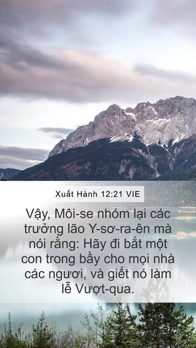 Xuất Hành 12:21 VIE Bible Verse Image