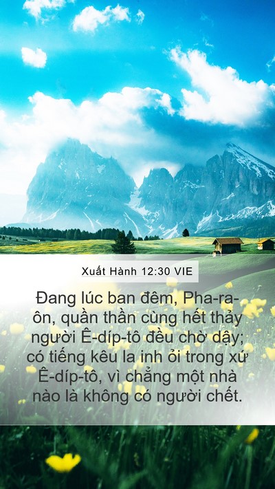 Xuất Hành 12:30 VIE Bible Verse Image