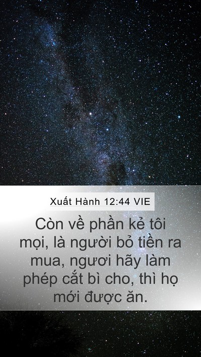 Xuất Hành 12:44 VIE Bible Verse Image