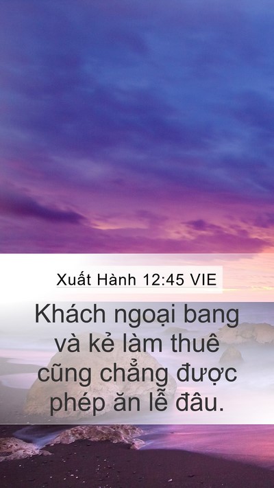 Xuất Hành 12:45 VIE Mobile Phone Wallpaper - Khách ngoại bang và kẻ làm thuê cũng - Mobile Bible Verse Wallpaper