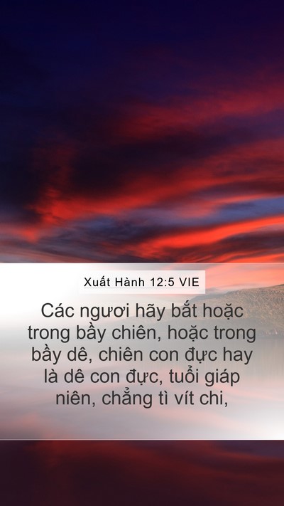 Xuất Hành 12:5 VIE Bible Verse Image