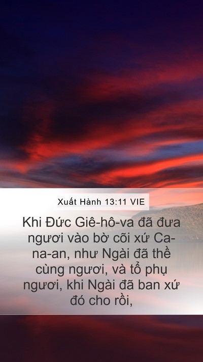 Xuất Hành 13:11 VIE Mobile Phone Wallpaper - Khi Đức Giê-hô-va đã đưa ngươi vào - Mobile Bible Verse Wallpaper