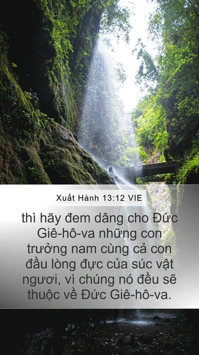 Xuất Hành 13:12 VIE Bible Verse Image