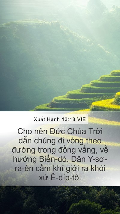 Xuất Hành 13:18 VIE Bible Verse Image