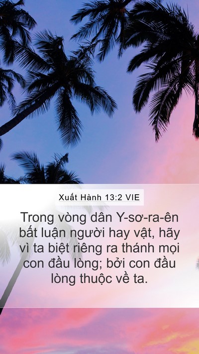 Xuất Hành 13:2 VIE Bible Verse Image