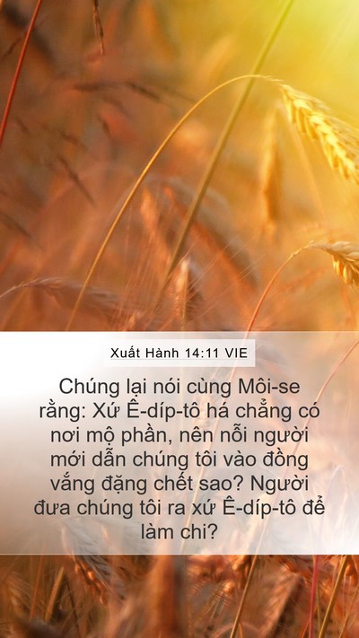 Xuất Hành 14:11 VIE Bible Verse Image
