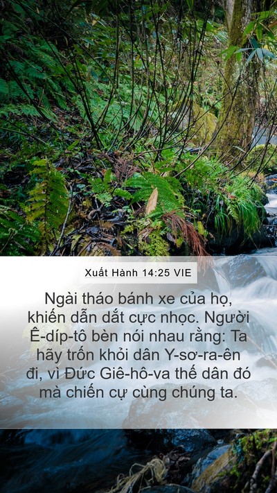 Xuất Hành 14:25 VIE Bible Verse Image