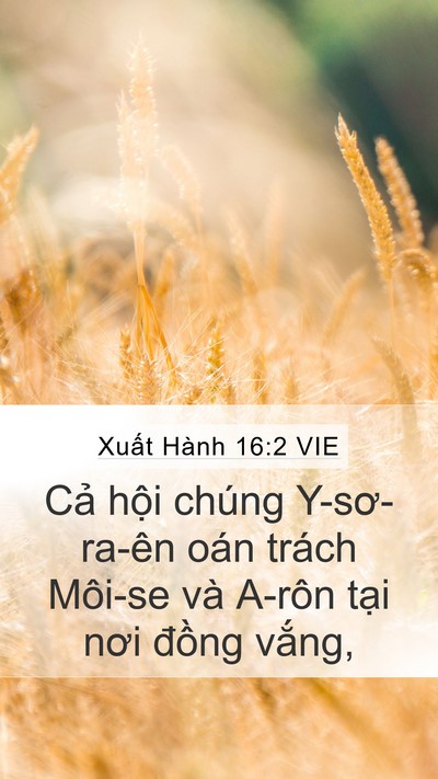 Xuất Hành 16:2 VIE Bible Verse Image