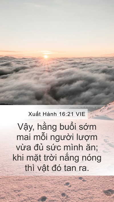 Xuất Hành 16:21 VIE Mobile Phone Wallpaper - Vậy, hằng buổi sớm mai mỗi người - Mobile Bible Verse Wallpaper