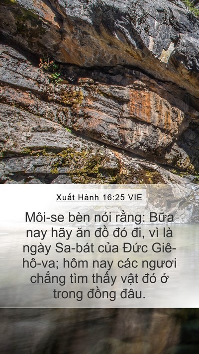 Xuất Hành 16:25 VIE Bible Verse Image