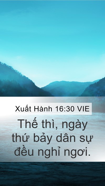 Xuất Hành 16:30 VIE Mobile Phone Wallpaper - Thế thì, ngày thứ bảy dân sự đều - Mobile Bible Verse Wallpaper