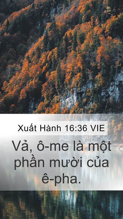 Xuất Hành 16:36 VIE Bible Verse Image