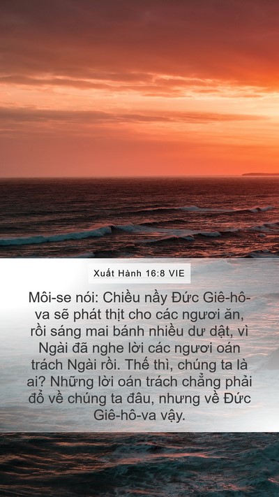 Xuất Hành 16:8 VIE Bible Verse Image