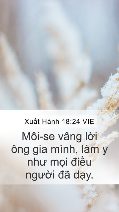 Xuất Hành 18:24 VIE Mobile Phone Wallpaper - Môi-se vâng lời ông gia mình, làm y như - Mobile Bible Verse Wallpaper