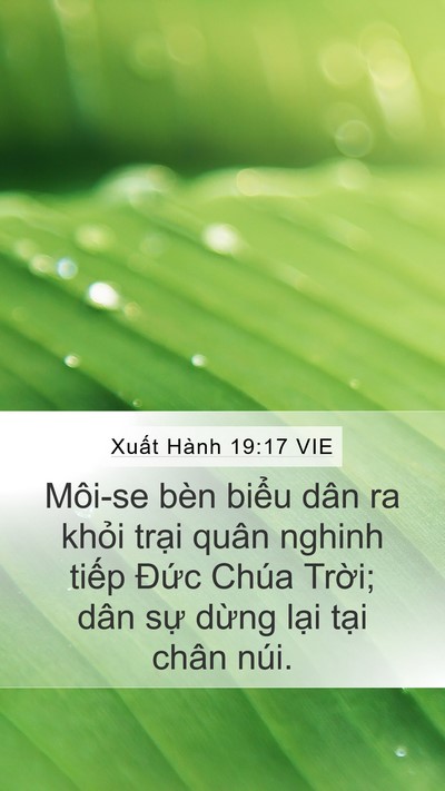 Xuất Hành 19:17 VIE Bible Verse Image
