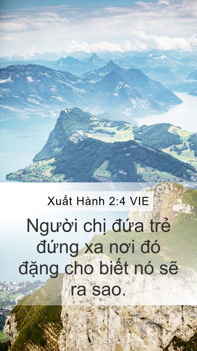 Xuất Hành 2:4 VIE Bible Verse Image