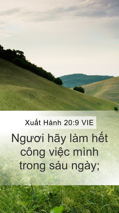 Xuất Hành 20:9 VIE Bible Verse Image