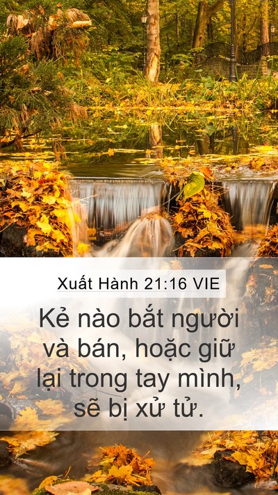 Xuất Hành 21:16 VIE Bible Verse Image