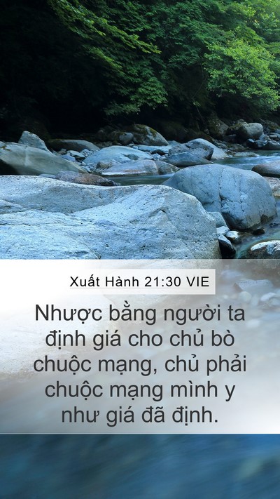 Xuất Hành 21:30 VIE Bible Verse Image