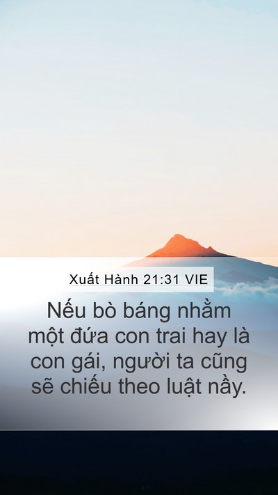 Xuất Hành 21:31 VIE Mobile Phone Wallpaper - Nếu bò báng nhằm một đứa con trai hay - Mobile Bible Verse Wallpaper