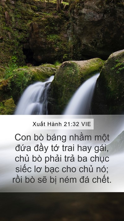 Xuất Hành 21:32 VIE Bible Verse Image