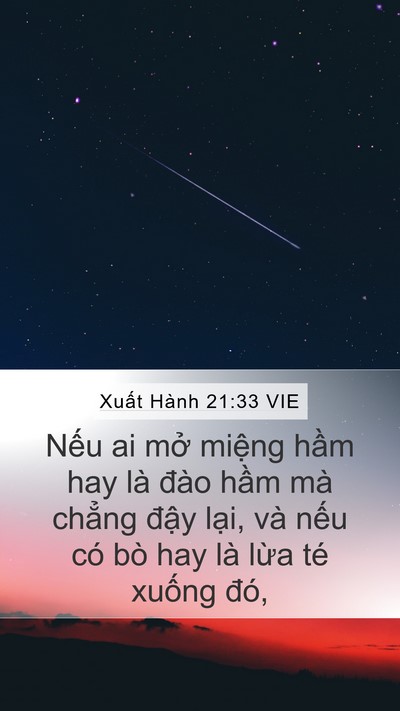 Xuất Hành 21:33 VIE Bible Verse Image